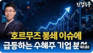 [주식] 호르무즈 봉쇄에 급등하는 수혜주들