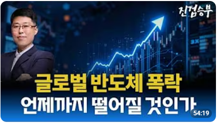 [주식] 글로벌 반도체 폭락. 언제까지 떨어질 것인가? 그리고 대응전략