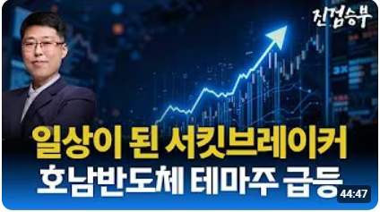 [주식] 반도체ETF 변동성에 적응하는 주식시장. 돈 번 사람 없는 삼전닉스 ETF