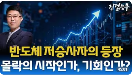 [주식] 반도체 투기 광풍(狂風). 몰락의 시작인가, 저점 매수 기회인가?