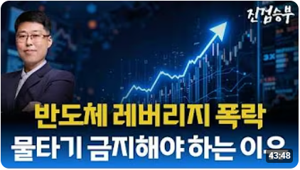 [주식] 반도체 폭락. 멈출 것인가? 추가 하락할 것인가?