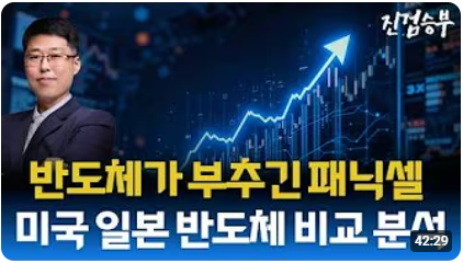 [주식] 반도체 폭락이 부른 패닉셀. 대형주/반도체 관련주 단기간 회복 가능성