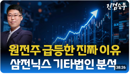 [주식] 삼전닉스 기타 법인 수급 분석. 엔비디아 실적 발표 임박